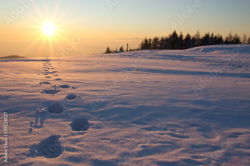 Naklejka na szybę der sonne entgegen