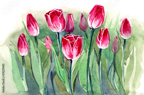 Naklejka na szybę tulips (sereis C)