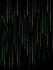 Wall Mural - Green binary code on black background