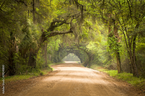 Obraz w ramie Charleston SC Dirt Road Forest Spanish Moss South Edisto