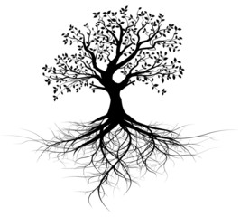 vecteur série, arbre avec racines vectoriel noir