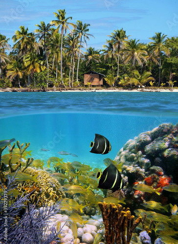 Obraz na płótnie canvas Sealife i tropikalna plaża