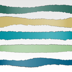 Wall Mural - set of torn paper banners