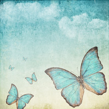 Vintage Background With A Blue Butterfly