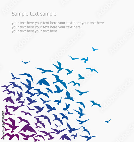 Cuadros en Lienzo birds' flock background