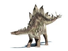 Stegosaurus Dinosaur. Isolated On White, With Clipping Path.
