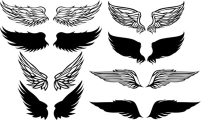 wings graphic vector set.