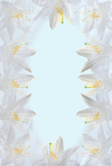 Wall Mural - white lily