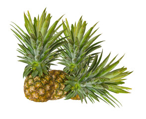 Wall Mural - Fresh pineapple