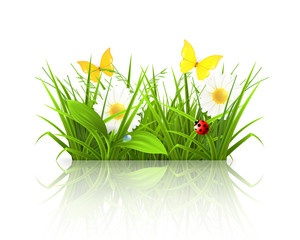 Wall Mural - Spring grass