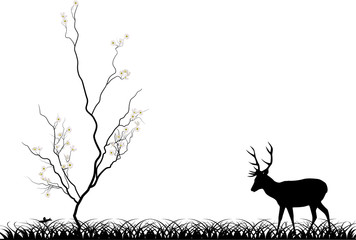 Wall Mural - isolated deer near blossomed cherry tree