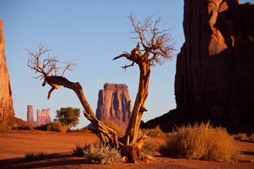 Wall Mural - Monument Valley