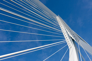 Detail of the cable stayed Erasmus bridge in Rotterdam,  the Net