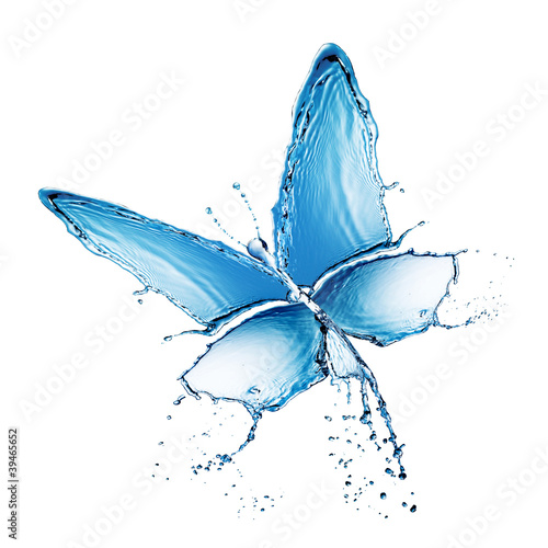 Fototapeta na wymiar water splash buttefly isolated