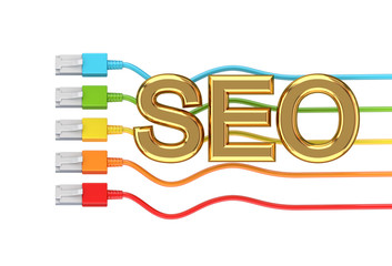 Poster - Colorful patchcords and golden word SEO.