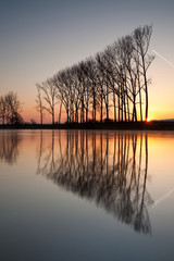 Wall Mural - Symmetry reflection on the autumn river