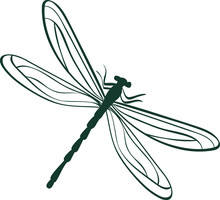 Abstract Dragonfly Vector Illustration