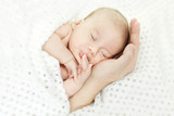 Fototapeta  - Newborn baby sleeping on parents hand