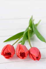 Wall Mural - flowers on white wooden background