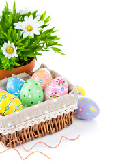 Wall Mural - easter egg in basket with spring flower isolated on white