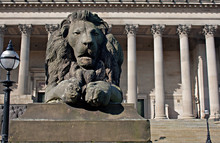 Lion Statue In Front Of St Georges Hall, Liverpool, UK