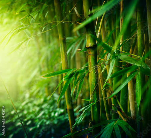 Naklejka na kafelki Bamboo