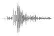 Earthquake - seismogramm