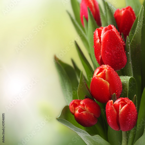 Naklejka - mata magnetyczna na lodówkę tulips in garden