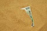 Fototapeta  - Banknot wystający z piasku