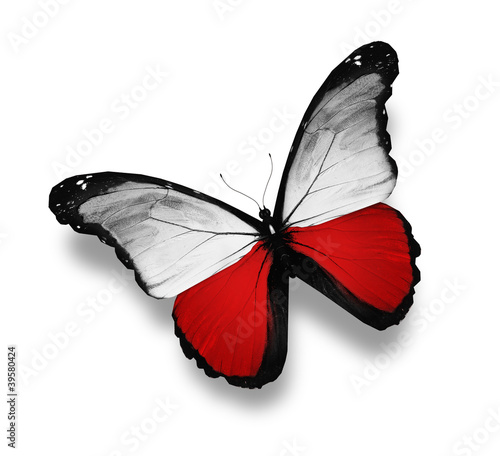 Naklejka - mata magnetyczna na lodówkę Polish flag butterfly, isolated on white