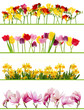 Spring flower borders