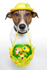 Sticker - Dog holding colorful easter basket