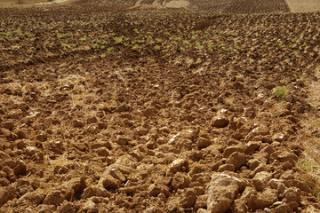 A background image of a plowed field