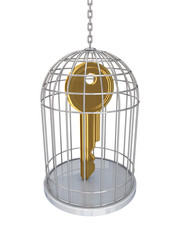 Canvas Print - Golden key in a cage.