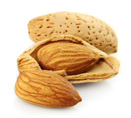 Sticker - Almond closeup