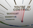 You're in Control Speedometer Agressive and Assertive