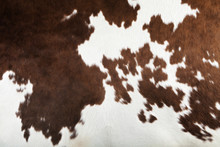 Real Cow Skin Texture