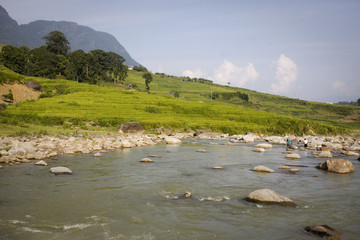 fiume tra le risaie a sapa, vietnam