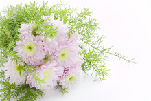 Bouquet Of Light Pink Daisy