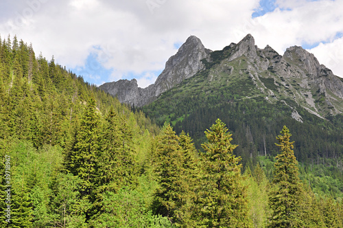 Board z aluminiowym obramowaniem Tatry wiosną w polsce