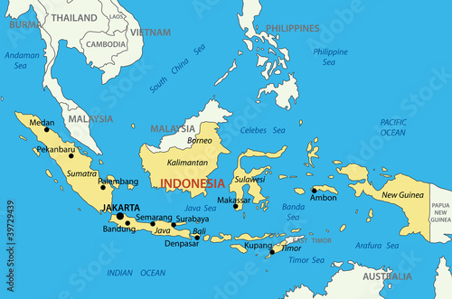 Cuadros en Lienzo Republic of Indonesia - vector map