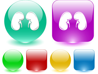 Sticker - Kidneys. Vector interface element.