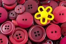Red Buttons - Yellow Flower