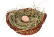 © soleg - Egg in a basket isolated