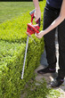 © kropic - Hedge trimmer