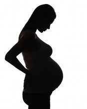 Silhouette Of The Pregnant Woman