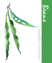 Hand Painted Green Beans