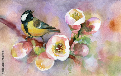 Obraz w ramie Titmouse on blossoming tree