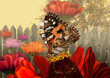 Motyl