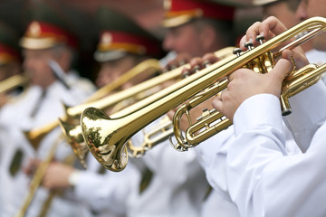 Wall Mural - Military musicians